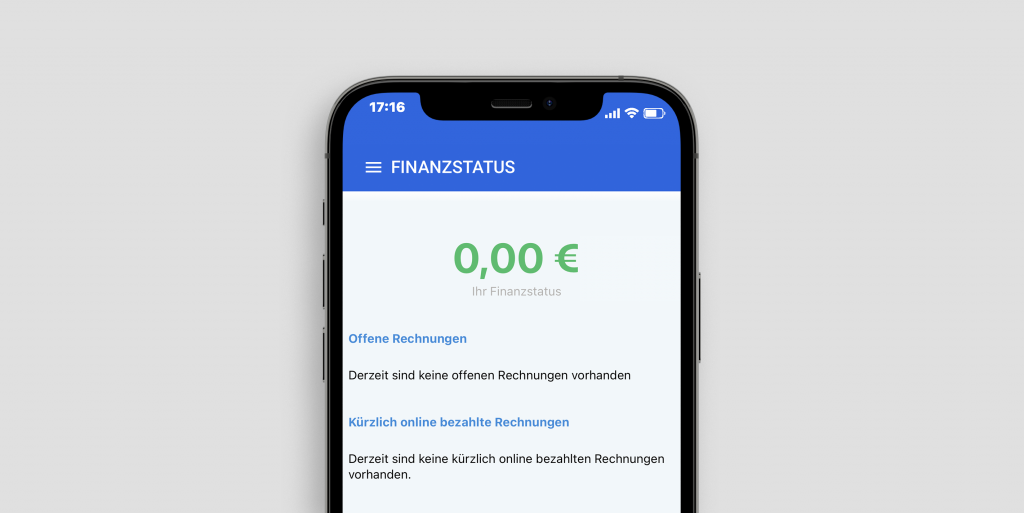 Vereinssoftware Finanzstatus